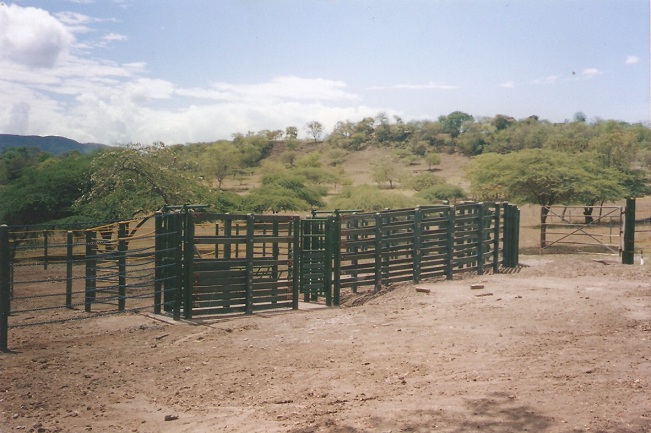 corral madera plástica calceta manga maderplast brete para ganado corrales embudos calcetas embudo calceta bretes brete apretadero instalaciones mangas wpc plastimadera madera plástico 011 corral madera plástica calceta manga maderplast brete para ganado corrales embudos calcetas embudo calceta bretes brete apretadero instalaciones mangas wpc plastimadera corral madera plástica calceta manga maderplast brete para ganado corrales embudos calcetas embudo calceta bretes brete apretadero instalaciones mangas wpc plastimadera madera plástico 011 madera plástico 011